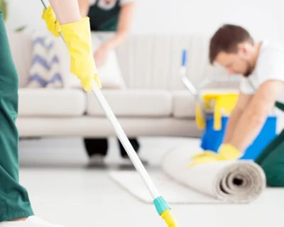 Cleaning and Maintenance